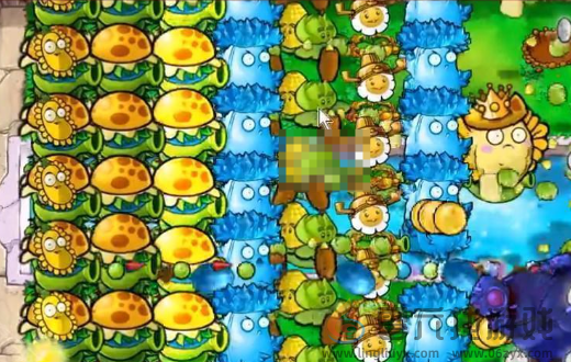 植物大战僵尸杂交版挑战模式第51关通关攻略(图6)