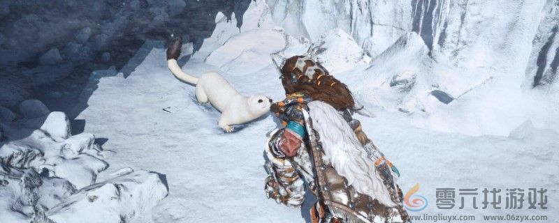 荒野起源社交组队玩法分享(图1)